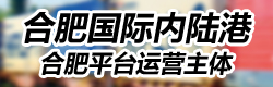 国际铁路运输,合肥国际内陆港发展有限公司
