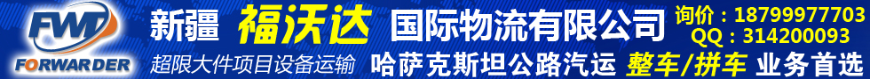 新疆福沃达国际物流有限公司