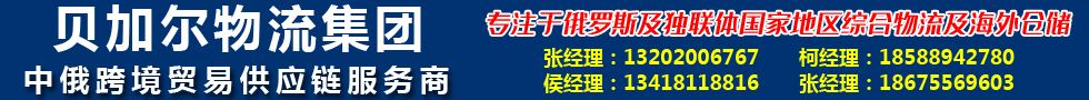 国际铁路运输,贝加尔物流集团