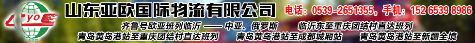 国际铁路运输,山东亚欧国际物流有限公司
