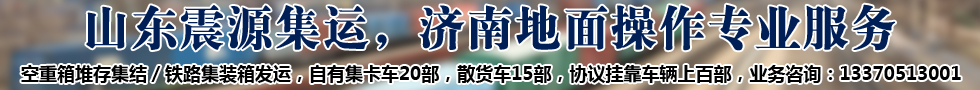 山东震源国际物流供应链有限公司